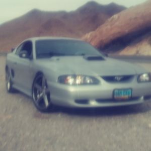 Meet your Posher, Benny